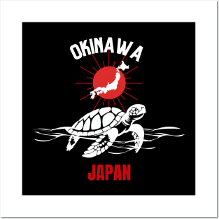 Diving Okinawa Japan Posters and Art